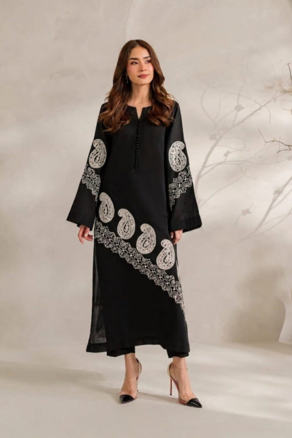 Ayna Heavy Embroidered Dhanak 2Piece Suit SDCW-1235