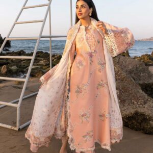 sui dhagay | 3pc casual winter collection | dhank best quality stuff